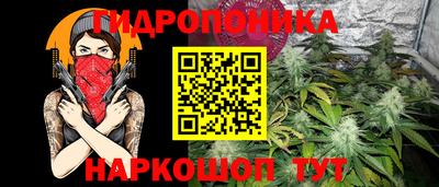 гидра Будённовск