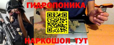 гидра Будённовск